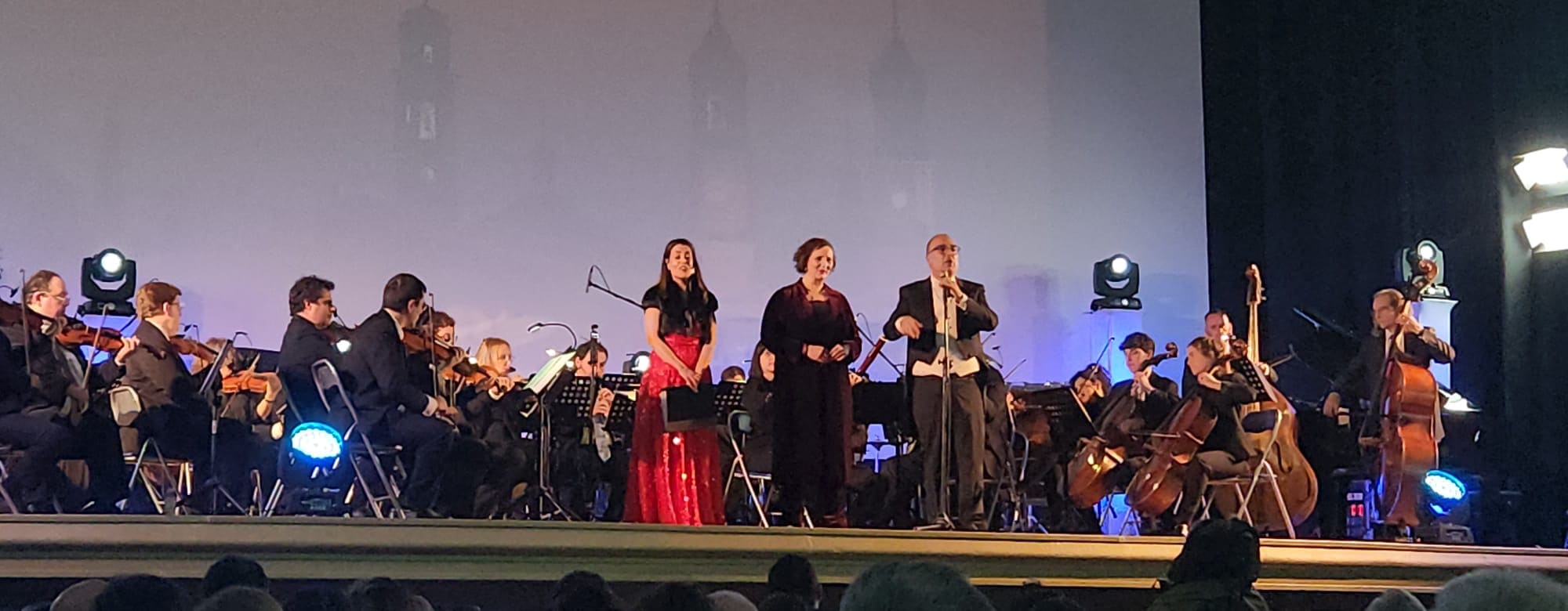 concierto año nuevo Ars Symphony (3)