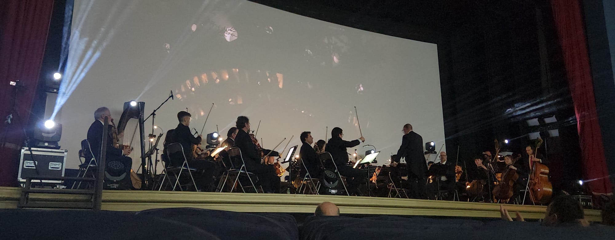 concierto año nuevo Ars Symphony (4)